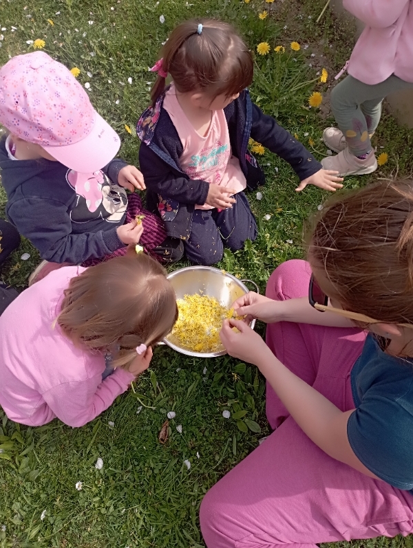 img_20250424_102909