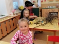 img_20250425_094216