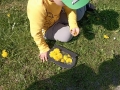 img_20250429_102848