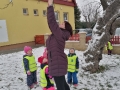 img_20250113_112241