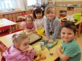 img_20250314_082425