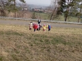 img_20250326_105258