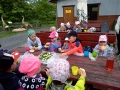 img_20190528_091358