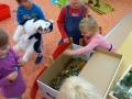 img_20191002_081745