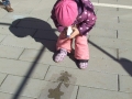 dscf8641
