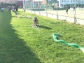 img-20250501-wa0009