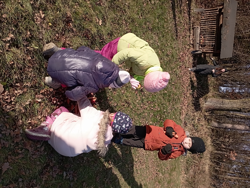 img_20241218_101712