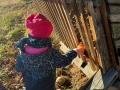 img-20241218-wa0012