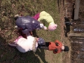 img_20241218_101712