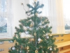 dscn3751